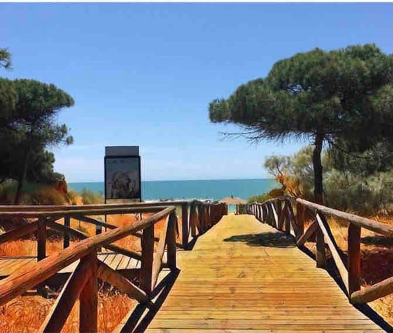 Viento Grande, Apartamento Boutique En La Playa 罗塔 外观 照片